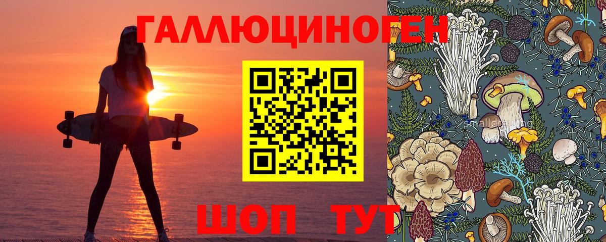 МЕФ Жуковский