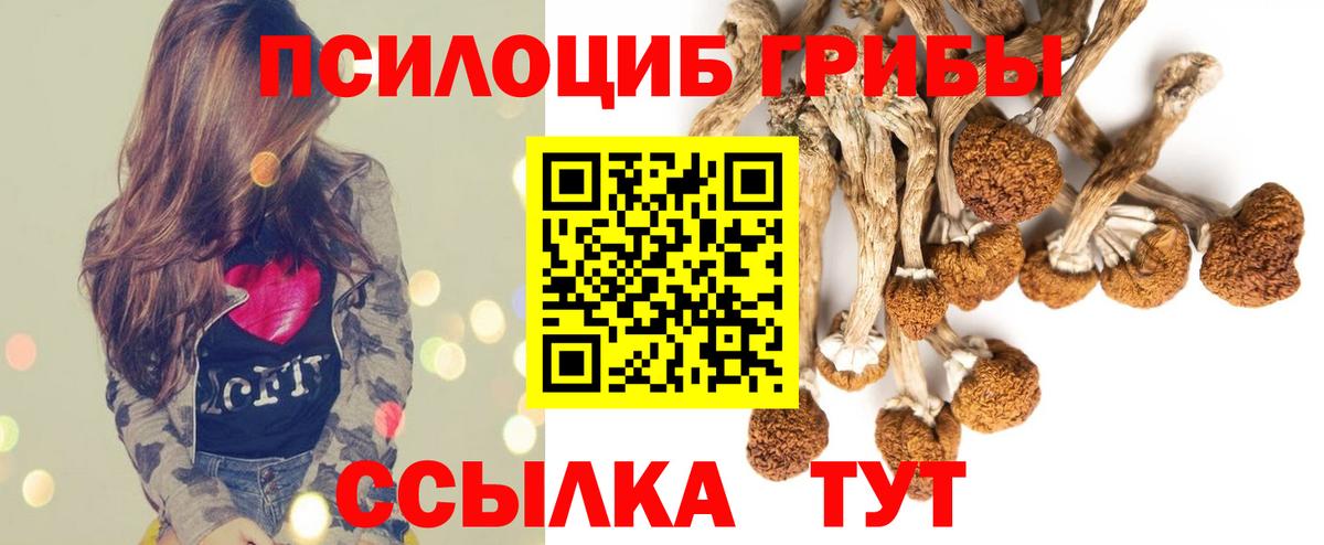 Жуковский  Галлюциногенные грибы Psilocybe  Вход с VPN 
